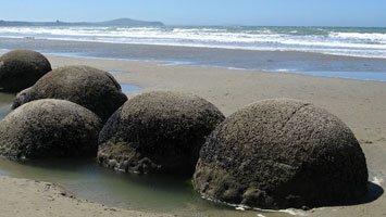 Local Activities Activities and Attractions of Palmerston Otago